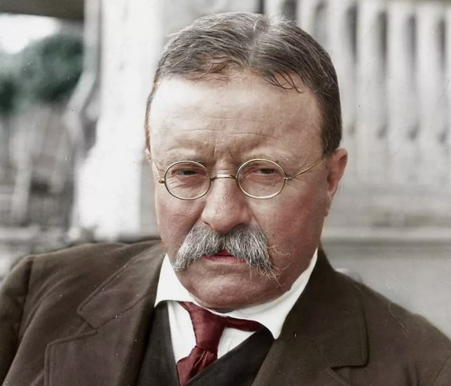 Teddy